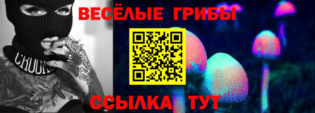 Псилоцибиновые грибы ЛСД  Вход с VPN  Соль-Илецк 