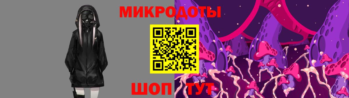 Псилоцибиновые грибы мицелий Соль-Илецк